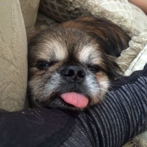 Meet your Posher, Pasqualina